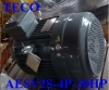 ĐỘNG CƠ TECO AESV2S-IE2