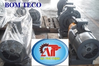 MÁY BƠM ĐẦU RỜI TECO GHS80-200- 45KW-380/660V