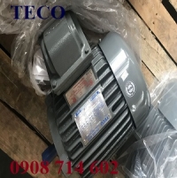 ĐỘNG CƠ CHỐNG NỔ TECO AEEDXU -4P- 15KW/20HP- 380/660V.