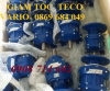 ĐỘNG CƠ GIẢM TỐC TECO MOTO VARIO  YTALIA  VỎ NHÔM HA 0.5-5.5HP-1/5-1/90