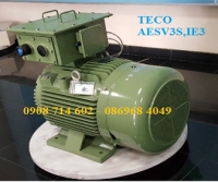 ĐỘNG CƠ TECO AESV3S,IE3