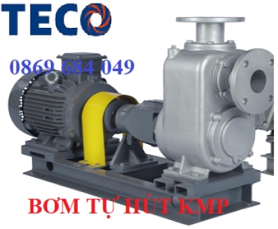 MÁY BƠM TECO TỰ HÚT KMP