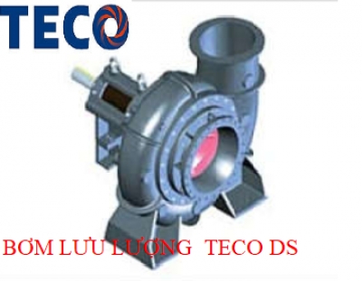 MÁY BƠM TECO DS- CÔNG SUẤT LỚN.