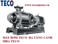 MÁY BƠM TECO ĐẦU RỜI MHA