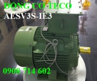 ĐỘNG CƠ CHÂN ĐẾ TECO  AESV2S -4P- 60HP-380/660V-IE2