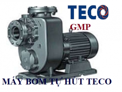 MÁY BƠM TECO TỰ HÚT GMP