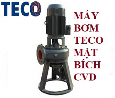 MÁY BƠM TECO ĐẦU RỜI CVD