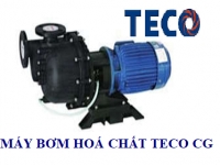 MÁY BƠM TECO HOÁ CHẤT CG