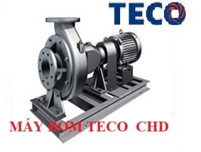 MÁY BƠM TECO ĐẦU RỜI CHD