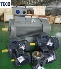 ĐỘNG CƠ CHÂN ĐẾ TECO  AESV1S -4P- 150HP-380/660V-IE1