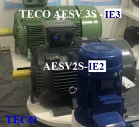 ĐỘNG CƠ CHÂN ĐẾ TECO  AESV1S -4P- 125HP-380/660V