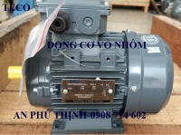 ĐỘNG CƠ TECO   VỎ NHÔM  AEAV-4P-0.75KW-220/380V.