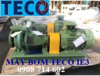 MÁY BƠM ĐẦU RỜI TECO GHS100-260- 75KW-380/660V