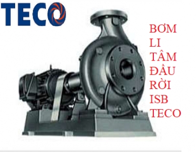 MÁY BƠM TECO ĐẦU RỜI ISB