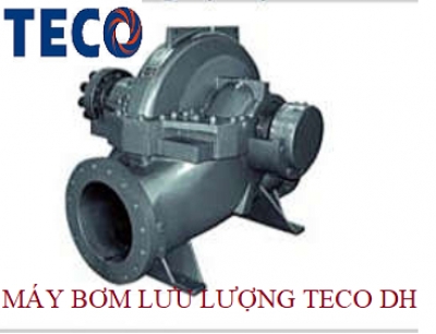 MÁY BƠM TECO LI TÂM 2 ĐẦU HÚT DH(V)