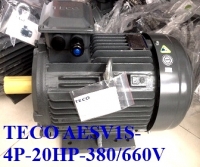 ĐỘNG CƠ CHÂN ĐẾ TECO  AESV1S -4P- 20HP-380/660V-IE1