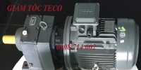 ĐỘNG CƠ GIẢM TỐC TECO GRFT