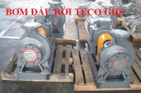 MÁY BƠM ĐẦU RỜI TECO GHS65-320- 55KW-90KW-380/660V