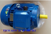 ĐỘNG CƠ CHÂN ĐẾ TECO  AESV2S -4P- 15HP-380/660V-IE2