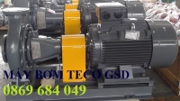 MÁY BƠM ĐẦU RỜI TECO GHS65-260- 30KW-45KW-380/660V