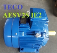 ĐỘNG CƠ TECO AESV2S - IE2