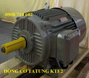 ĐỘNG CƠ TATUNG KTE2