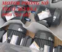 ĐỘNG CƠ PHÒNG NỔ TECO  EG3 AEEBXA -4P- 2HP-220/380V