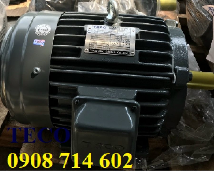 ĐỘNG CƠ TECO TAI WAN AEEF-4p-1HP