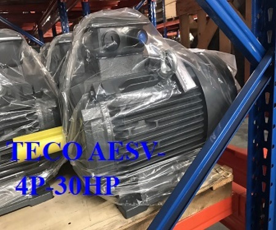 ĐỘNG CƠ CHÂN ĐẾ TECO AESV2S -4P- 30HP-380/660V-IE2