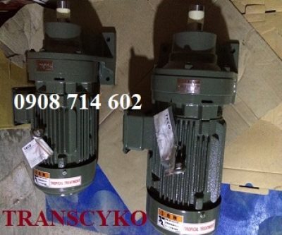 ĐỘNG CƠ GIẢM TỐC TECO -TRANSCYKO THHM(THM)- 0.2KW-55KW -1/29 (~50 vòng/Phút)