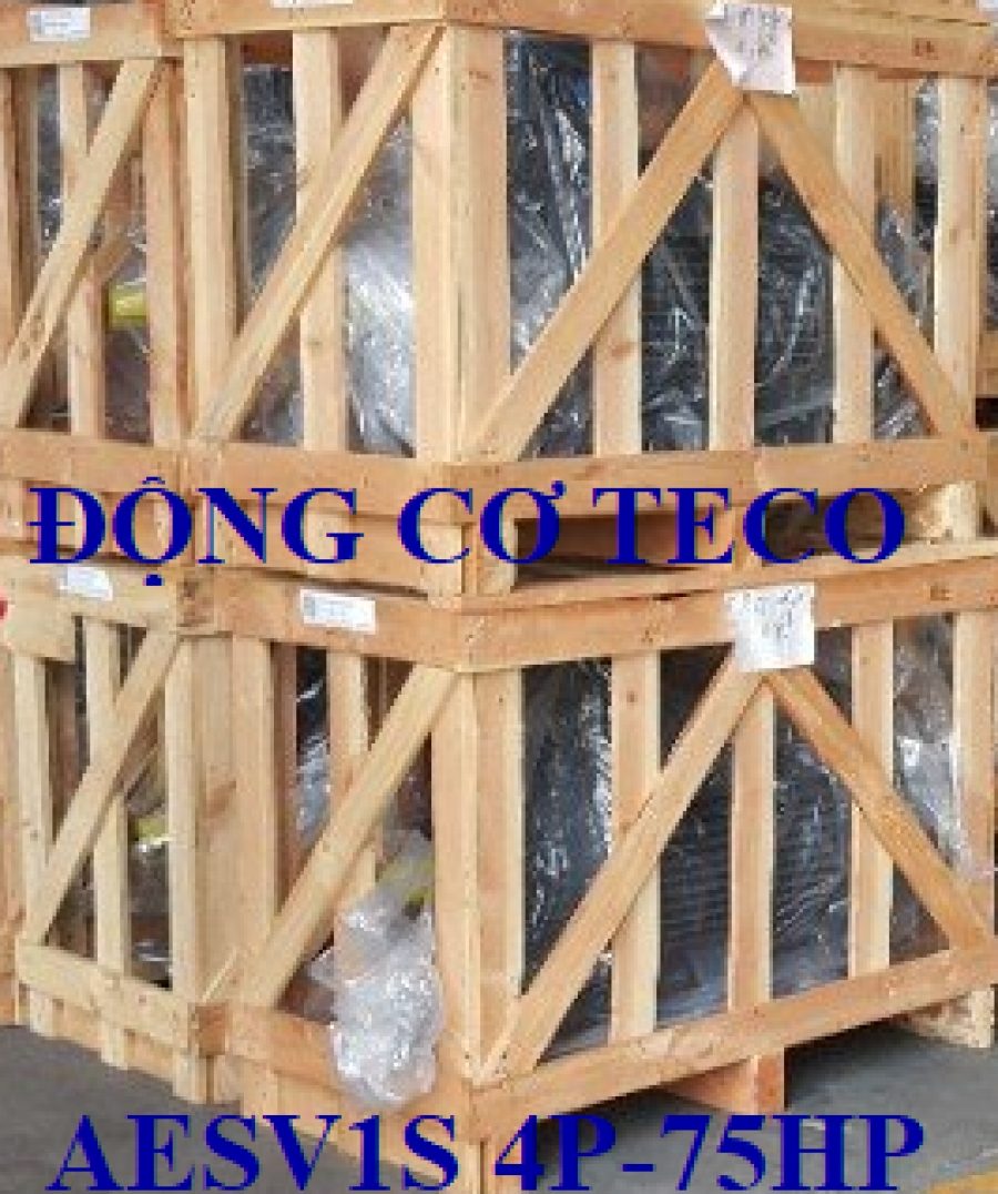 ĐỘNG CƠ CHÂN ĐẾ TECO AESV1S -4P- 75HP-380/660V