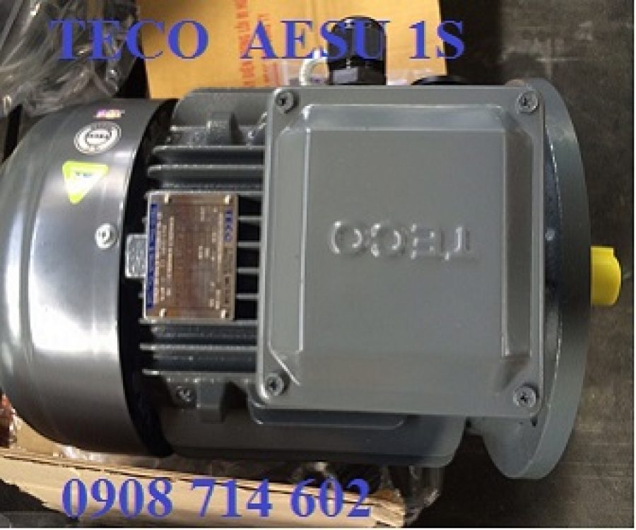 ĐỘNG CƠ MẶT BÍCH TECO AESU