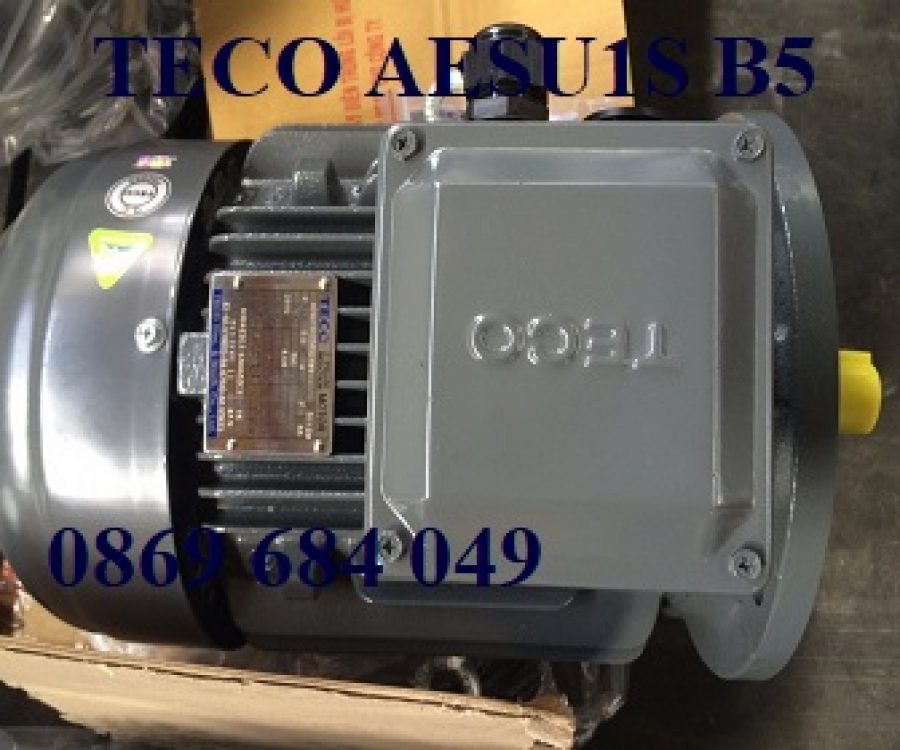 ĐỘNG CƠ MẶT BÍCH TECO AESU1S -4P- 10HP-380/660V-IE1