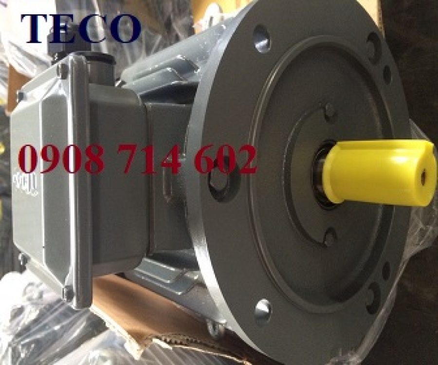 ĐỘNG CƠ CHÂN ĐẾ TECO AESU1S -4P- 5.5HP-380/660V-IE1