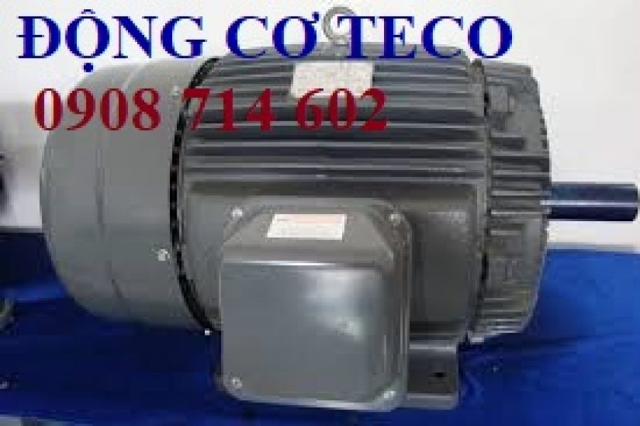 ĐỘNG CƠ TECO TAI WAN AEEF-4P-40HP