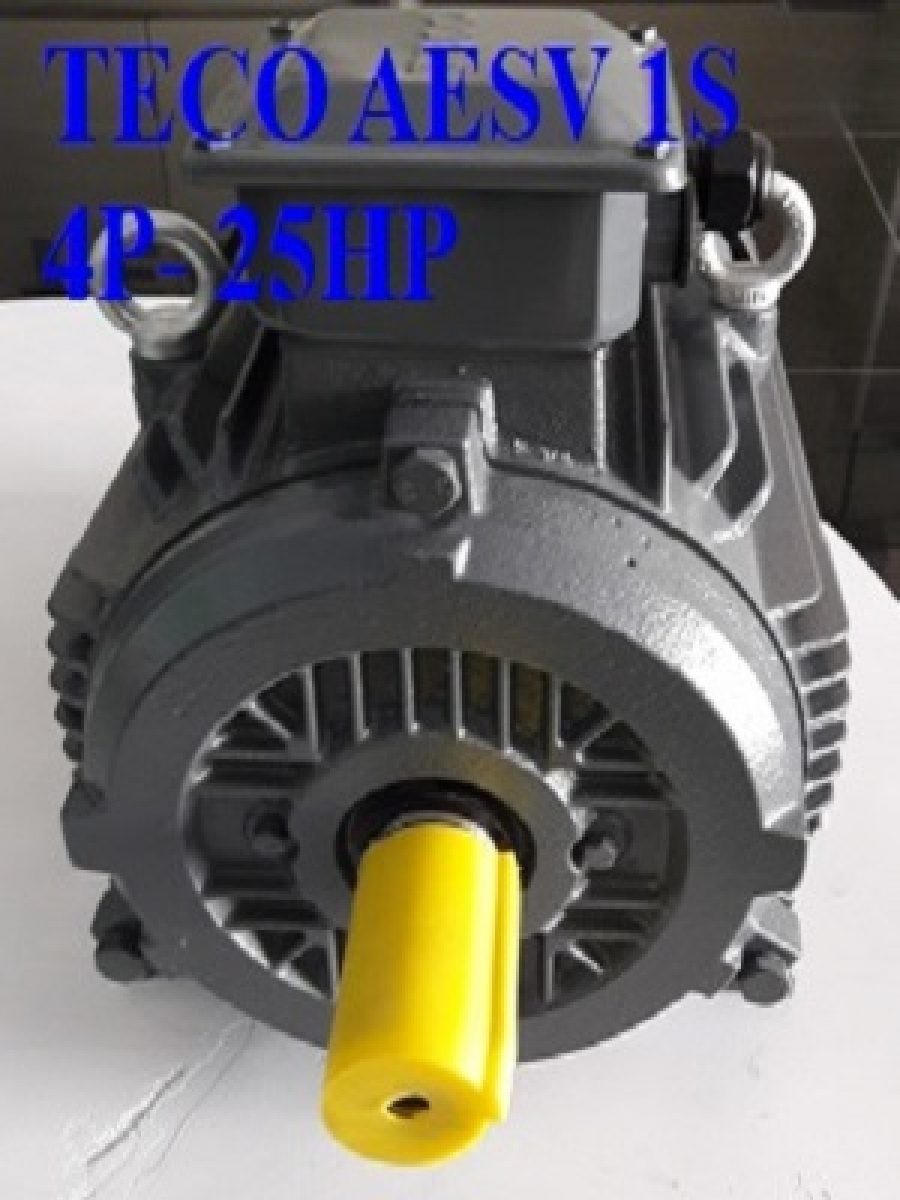 ĐỘNG CƠ CHÂN ĐẾ TECO AESV1S -4P- 25HP-380/660V-IE1
