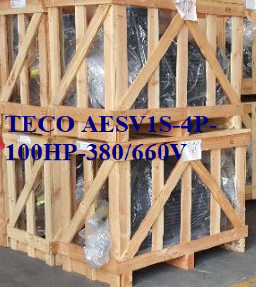 ĐỘNG CƠ CHÂN ĐẾ TECO AESV1S -4P- 100HP-380/660V