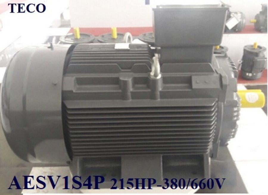 ĐỘNG CƠ CHÂN ĐẾ TECO AESV2S -4P- 215HP-380/660V-IE2