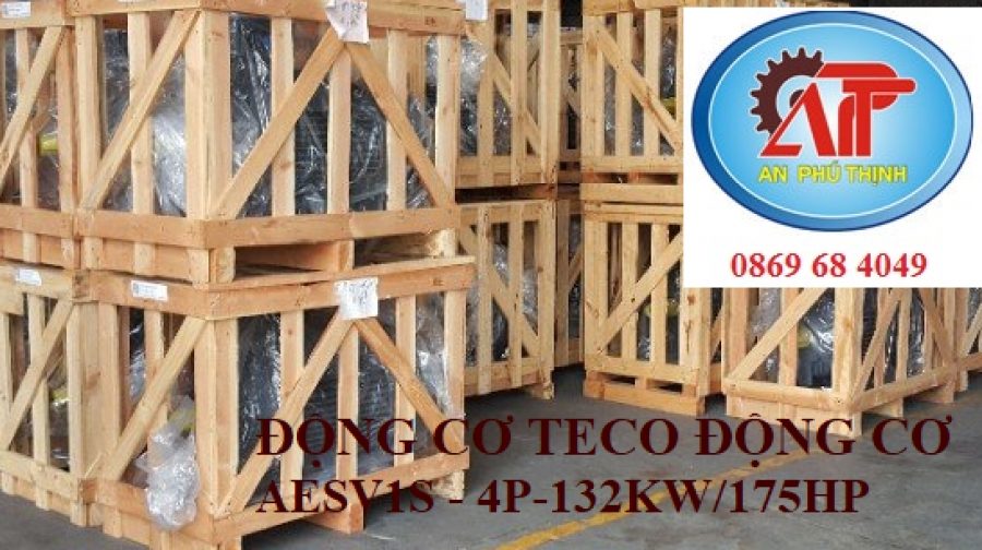 ĐỘNG CƠ CHÂN ĐẾ TECO AESV1S -4P- 175HP-380/660V