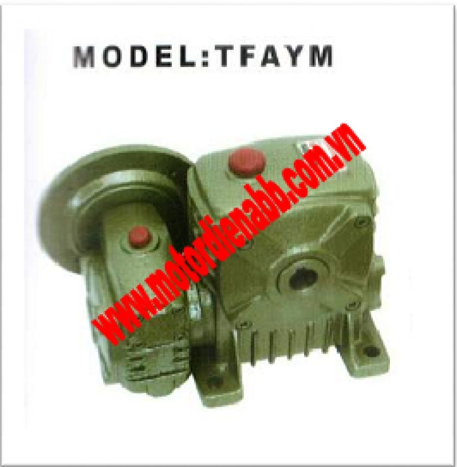 HỘP SỐ YEONI TFAYM