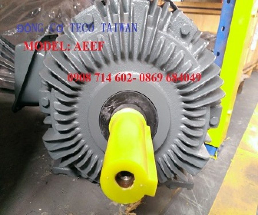 ĐỘNG CƠ TECO CHÂN ĐẾ AEEF