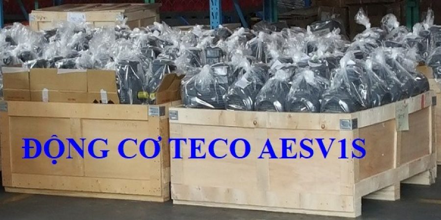 ĐỘNG CƠ CHÂN ĐẾ TECO AESV1S -4P- 5.5HP-380/660V-IE1