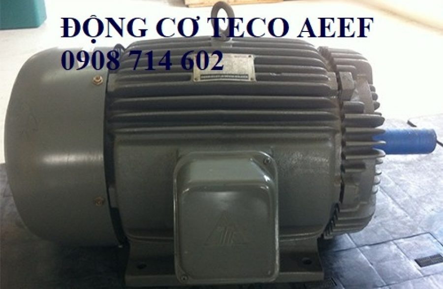 ĐỘNG CƠ TECO TAI WAN AEEF-4P-20HP