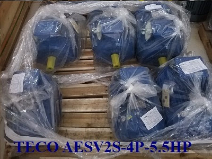 ĐỘNG CƠ CHÂN ĐẾ TECO AESV2S -4P- 3HP-220/380V-IE2