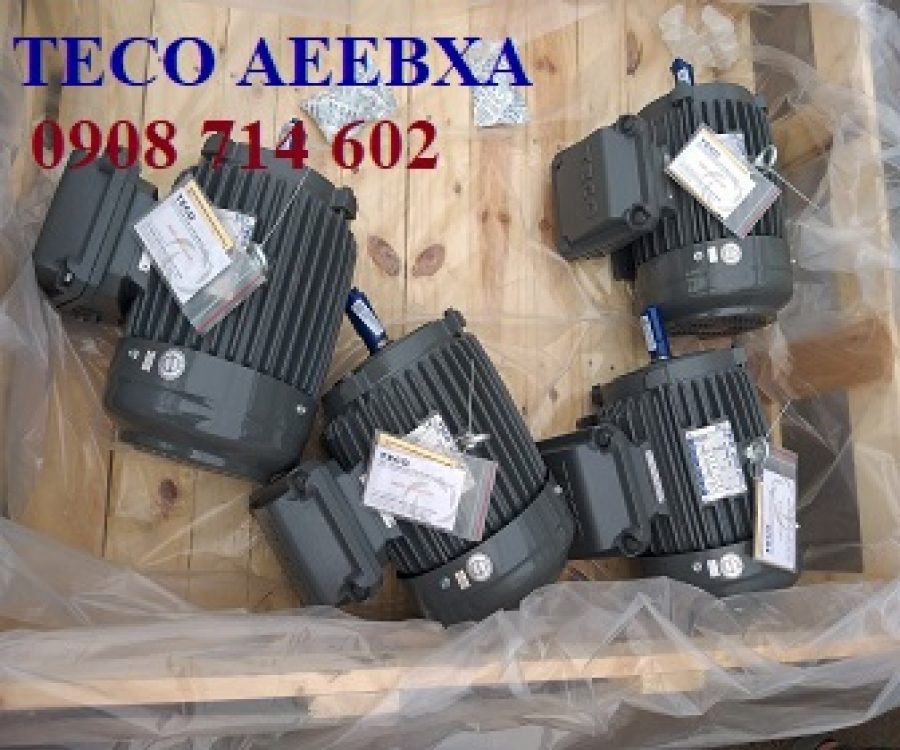 ĐỘNG CƠ PHÒNG NỔ TECO EG3 AEEBXA -4P- 3.7KW/5HP-220/380V