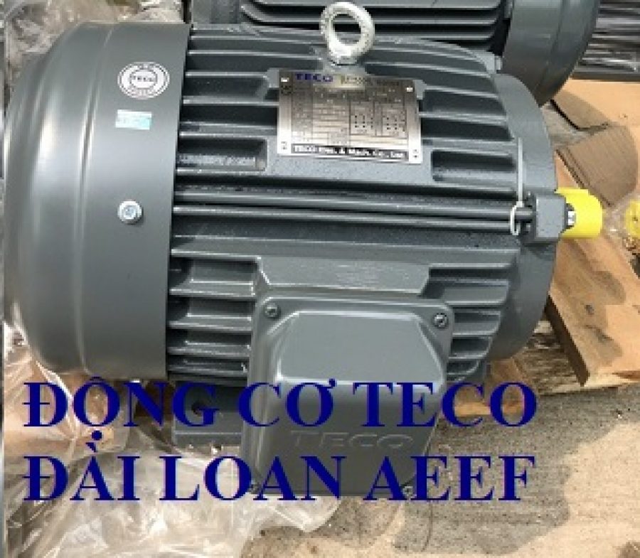 ĐỘNG CƠ TECO TAI WAN AEEF-4P-3HP