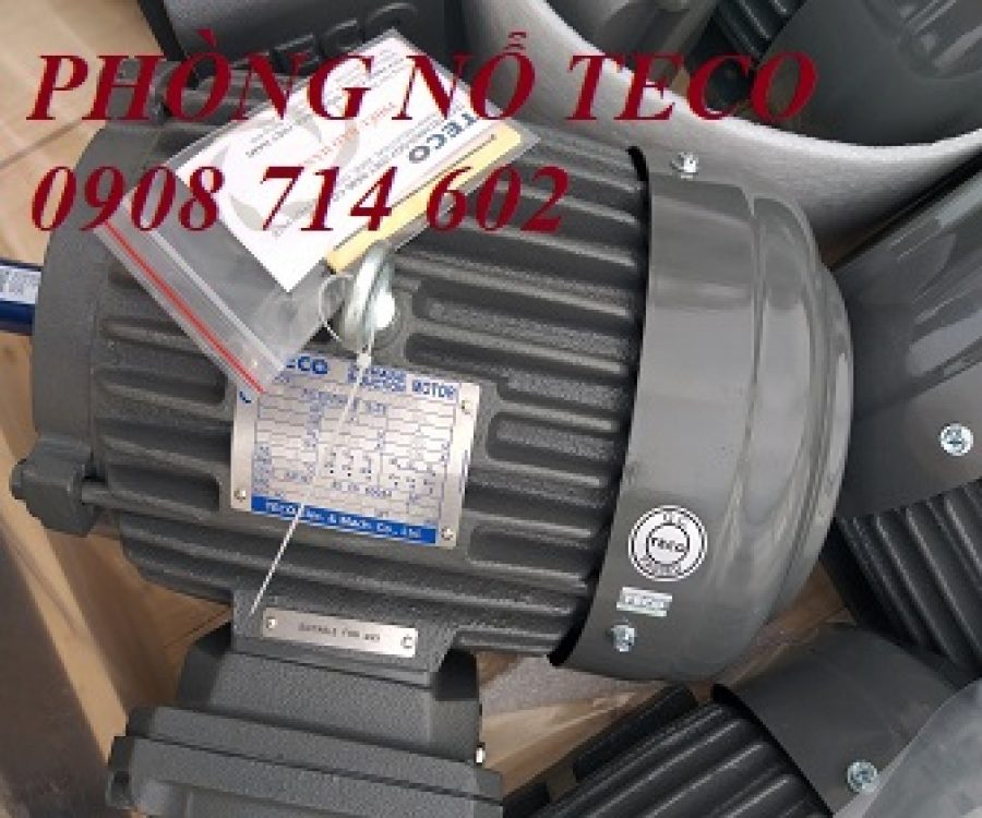 ĐỘNG CƠ PHÒNG NỔ TECO EG3 AEEBXA -4P- 7.5KW/10HP- 380/660V