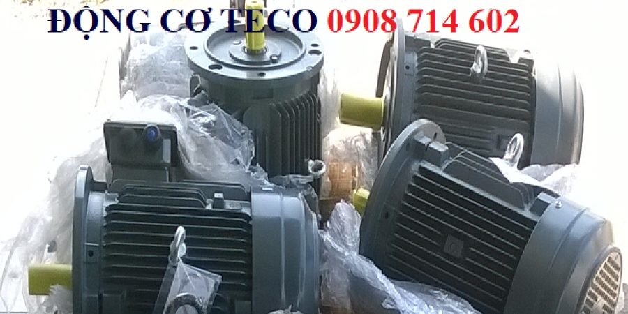 ĐỘNG CƠ MẶT BÍCH TECO AESU1S -4P- 30HP-380/660V-IE1