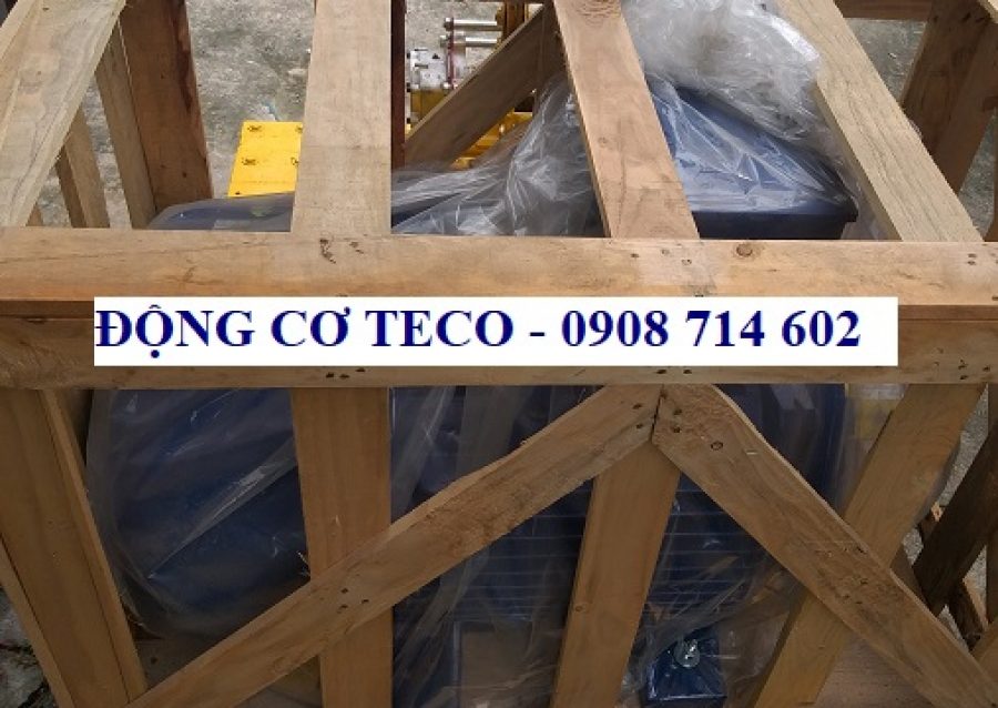 ĐỘNG CƠ CHÂN ĐẾ TECO AESV2S -4P- 150HP-380/660V