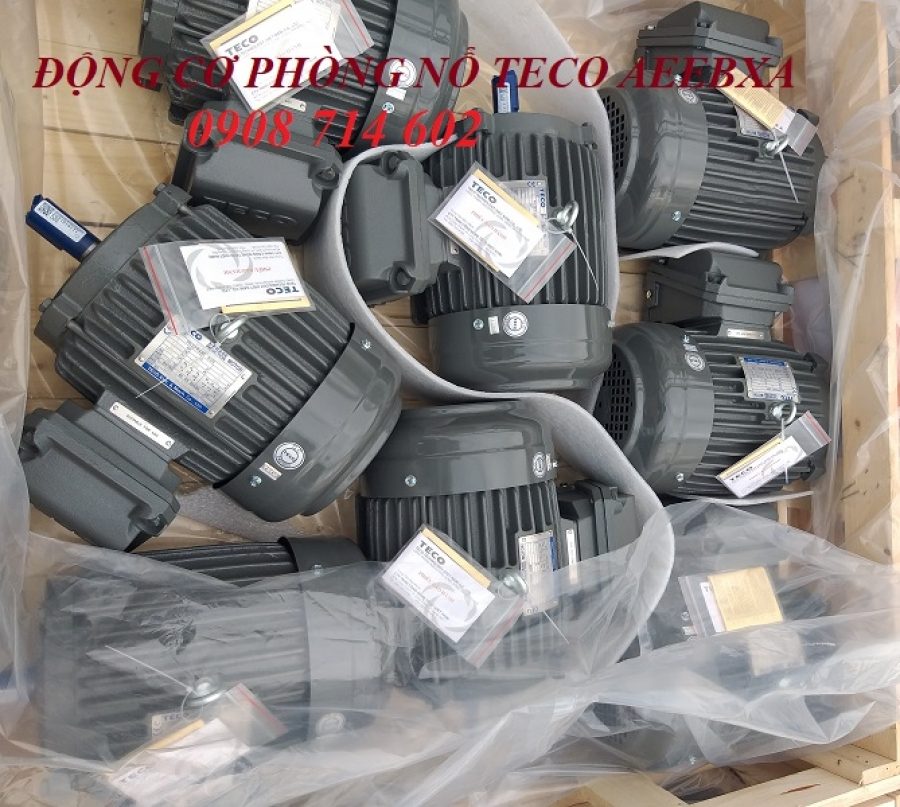 ĐỘNG CƠ PHÒNG NỔ TECO EG3 AEEBXA -4P- 1HP-220/380V